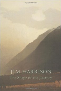 The Shape of the Journey