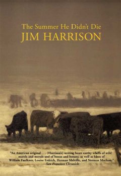 The Summer He Didn’t Die