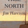 True North