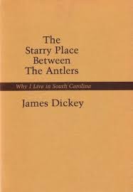 Starry Place Between The Antlers