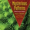 Mysterious Patterns: Finding Fractals in Nature