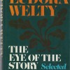 The Eye of the Story