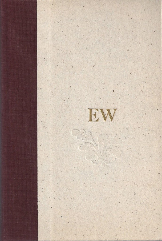 The Eye of the Story