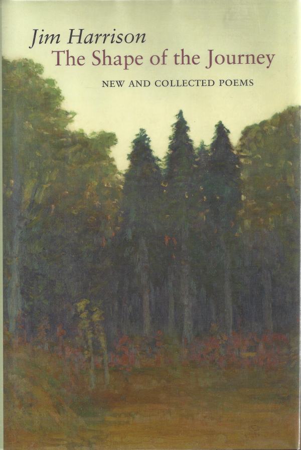 The Shape of the Journey