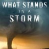 What Stands in a Storm