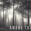 Among Trees