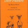 The Deer Pasture