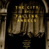 The City of Falling Angels