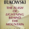 The Flash of Lightning behind the Mountain